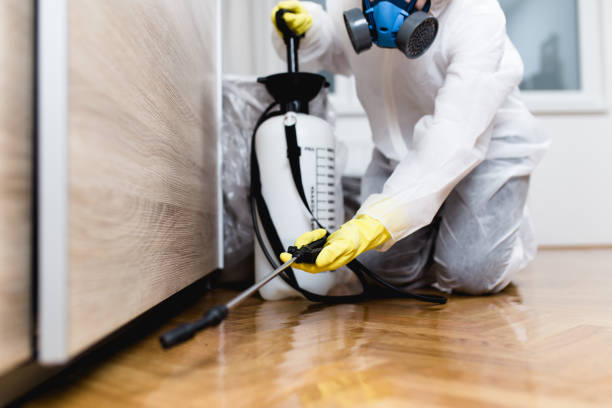 Best Pest Prevention Services  in Volo, IL