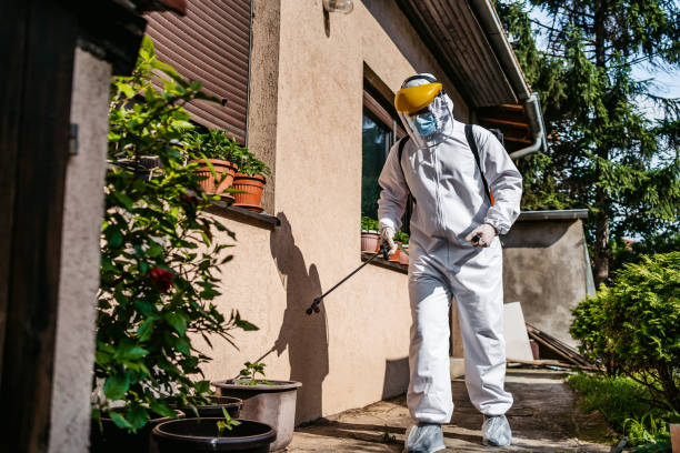 Best Pest Removal Services  in Volo, IL