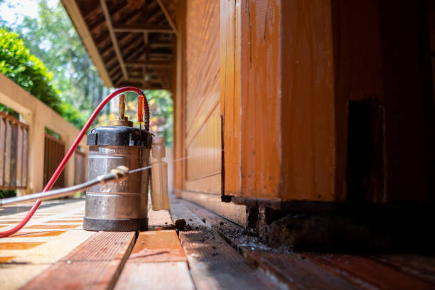 Best Affordable Pest Control Services  in Volo, IL