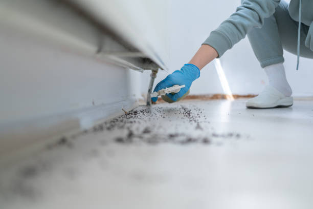 Volo, IL Pest Control Company